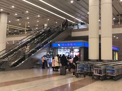-上海浦东国际机场T1航站楼-P1停车场
