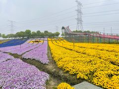 -上海杨姆庄园