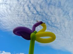 -不觉晓CAMPING(上海迪士尼营地店)