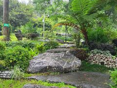 -东莞植物园