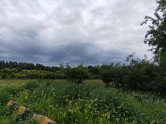 -北京呀路古热带植物园