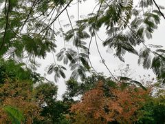 -北京师范大学(珠海校区)