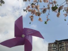 -四海公园(南山区)