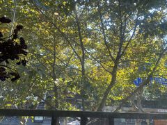 -红小满休闲餐厅(十全街店)