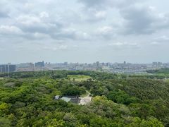 -宜兴龙背山森林公园