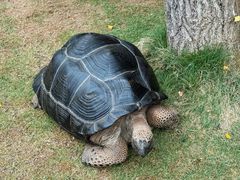 -南京金牛湖风景区