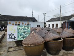 -苏州市吴中区光福窑上花果蜜饯厂