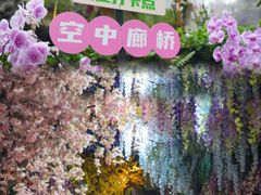 -正佳雨林生态植物园