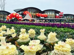 -中国天府农业博览园