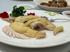 -坚记酒家·佛山老字号·顺德鱼生标准示范店