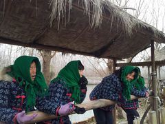 -溱湖国家湿地公园