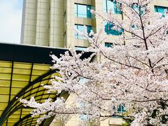 -静安公园(静安寺街道)
