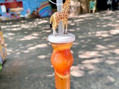 -广州长隆野生动物世界