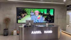 点击看大图 -ANGELHAND