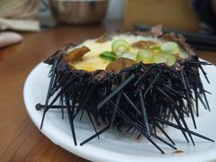 -海胆小馆(东北水饺·春柳店)