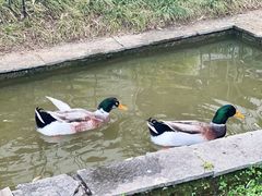 -阳朔悦榕庄·明月西餐厅&清风吧