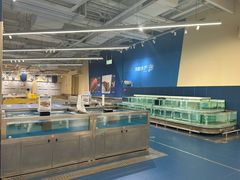 -盒马X会员店(上海森兰商都店)
