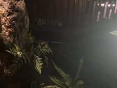 -泰之源足浴会所(玉环店)