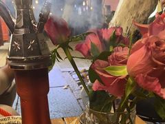 -Uncle Kosto科斯托·中东菜