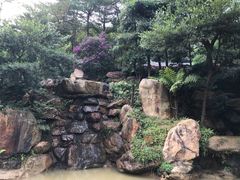 -广州市帽峰山景区