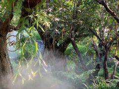 -Chom Cafe and Restaurant