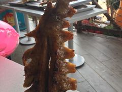 -美的鹭湖探索王国