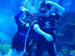 -华夏文旅海洋公园