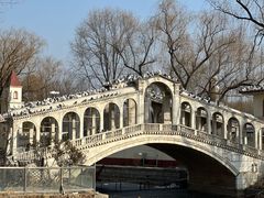 -北京世界公园