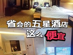 -合肥丰大国际大酒店