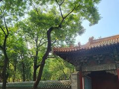 -Santoor 萨都里印度餐厅(北锣鼓巷店)