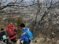 -阳台山自然风景区