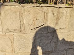 -苏州河梦清园环保主题公园