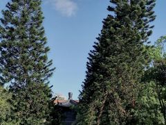 -荔湾湖公园