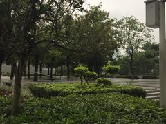 -天河体育中心