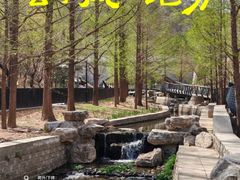 -白水寺森林公园