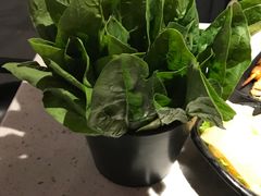 -京韵胡同·酱香羊蝎子火锅涮肉(长寿路店)