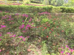 -闻酥园(水碾河路店)