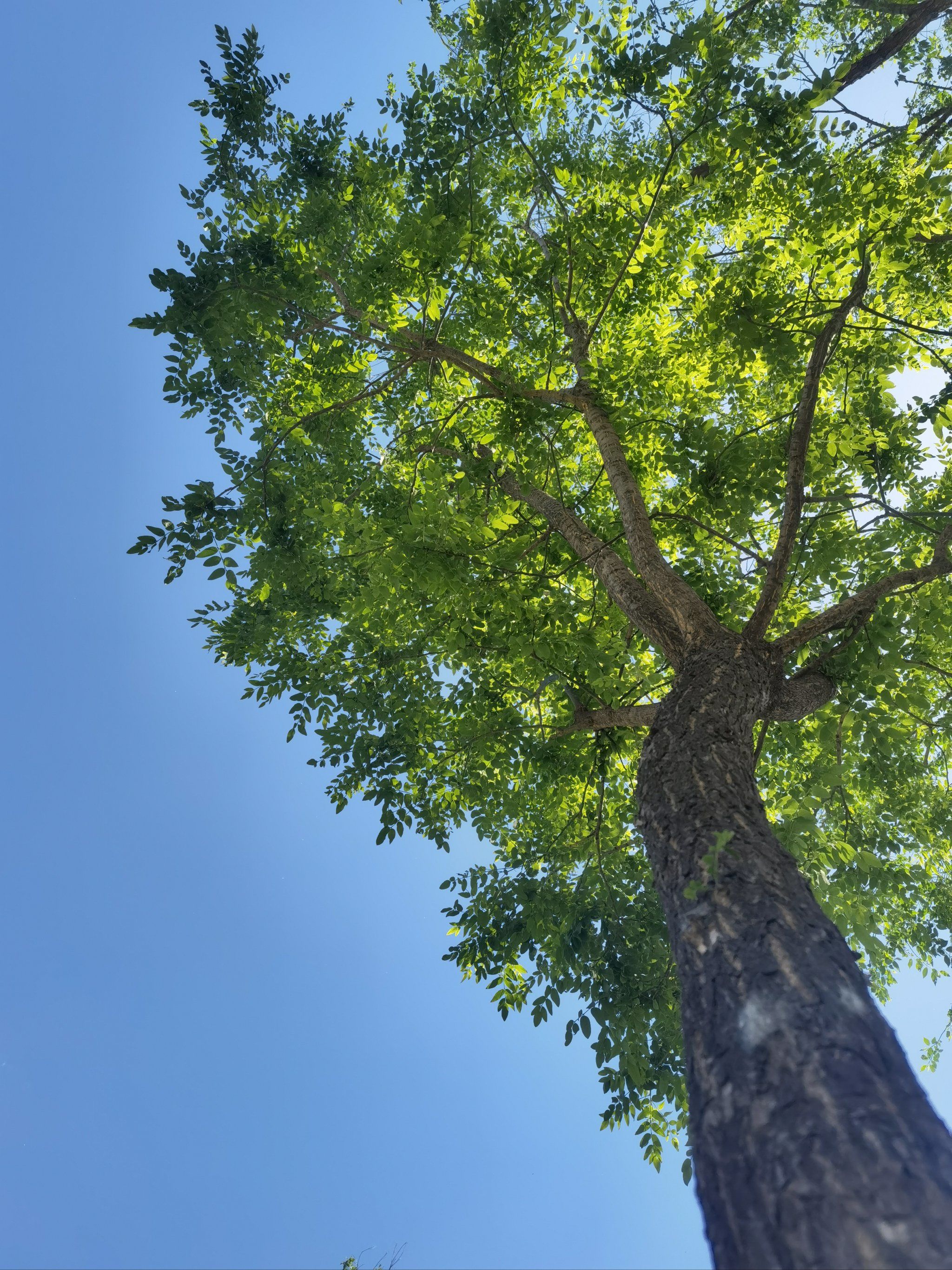 公园放空指南|门头沟绿海运动公园