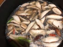 菌汤锅底-呷哺呷哺 黄金牧场 (新中关购物中心店)