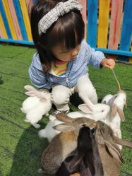 -萌宠亲子动物乐园(槐房万达店)