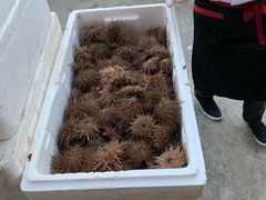 -海胆小馆(东北水饺·春柳店)