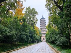 -灵谷景区