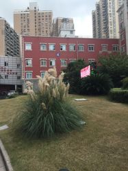 -复旦大学附属妇产科医院(黄浦院区)