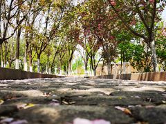 -济南国际园博园