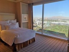 -拉斯维加斯永利酒店