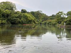 -花溪公园