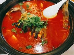 贵州酸汤鱼-贵州大厦贵州厅(樱花园西街店)