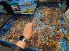 -东海怡品海鲜豆捞(星街坊店)