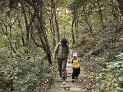 -杭州半山国家森林公园