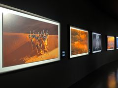 -罗红摄影艺术馆